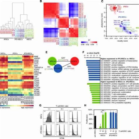 Gene Expression Profiles Of Ips Mscs Are Similar To Primary Mscs Download Scientific Diagram