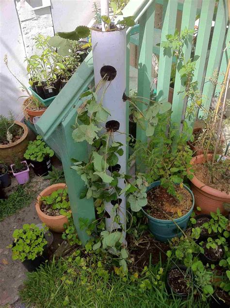 Diy Pvc Pipe Planters For Decorating Your Garden