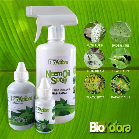 Jual Pestisida Organik Kutu Putih Pestisida Nabati Neem Oil Fungisida