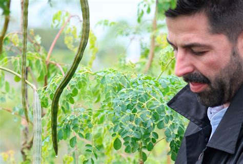 El conileño Juan Diego Marín premio joven agricultor innovador