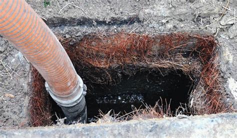 Grease Trap Problems Wimauma Fl Quality Septic Inc