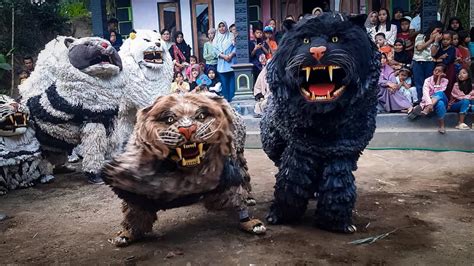 Terheboh Acrobatic Macan Java Singo Raung Dance Macan Java Singo