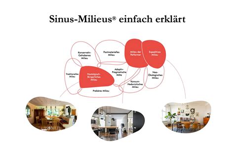 Sinus Milieus International Sinus Institut