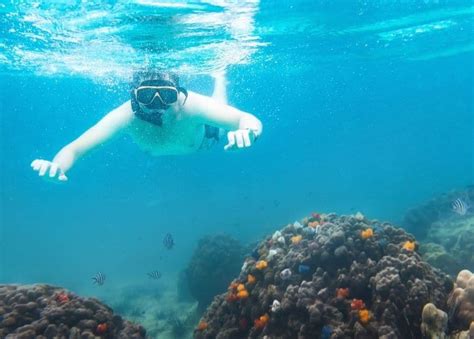 5 Best Snorkeling Destinations In Thailand Thailand Elite Visas