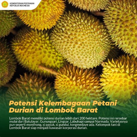 Kementerian Pertanian Ri On Twitter Semangat Pagi Sobatani Petani