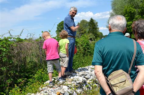 Projekte Mit Schulen Kindern Jugendlichen Balger Natur Umwelt