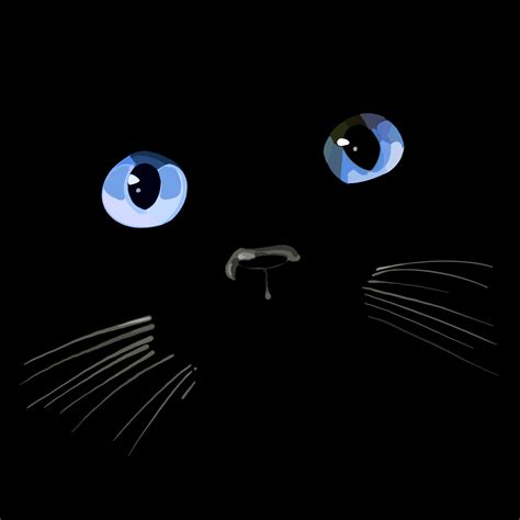 Black Cat Blue Eyes Wallpaper