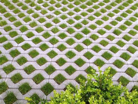 Trellis patio design!