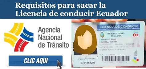 Requisitos Para Sacar La Licencia De Conducir Ecuador 2024