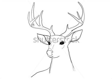 Animals Easy Deer Pencil Drawing - bmp-clown