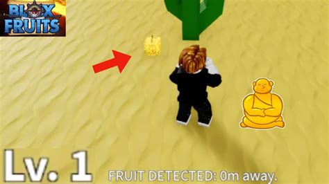 2 Cách Lấy Buddha Blox Fruit 2025 Hình Ảnh Code Combo