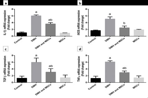 Gene Expression Analysis Il 1β Mrna Inos Mrna Tgf β Mrna And Tnfα