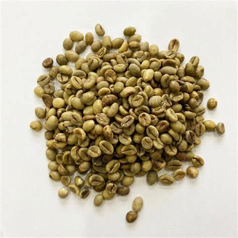 Vietnam Wet Polish Green Robusta Coffee Beans S16 Super Cheap At Rs 299