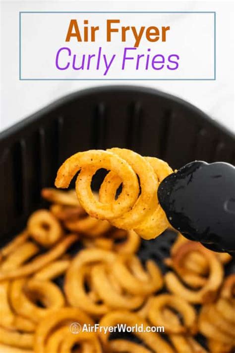 Easy Air Fryer Frozen Curly Fries in Air Fryer TIME TEMP | Air Fryer World