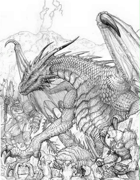 Beautiful Dragon Coloring Pages For Adults Guluxy