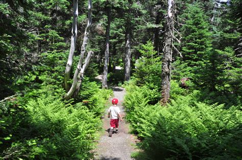 Promenade Boréale Parc National Du Mont Mégantic Sentiers De