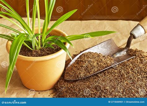 Coco Coir Potting Mix With Perlite Royalty-Free Stock Photography | CartoonDealer.com #178365623