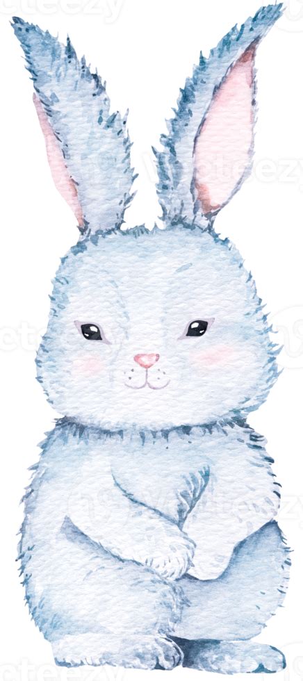 Watercolor Easter Rabbitbunny Illustrationcute Fluffy Grey Rabbit