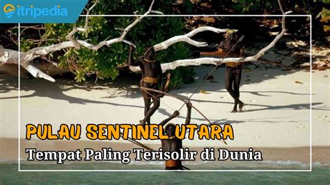 Pulau Sentinel Utara Pulau Tanpa Agama Tempat Paling Terisolasi Di