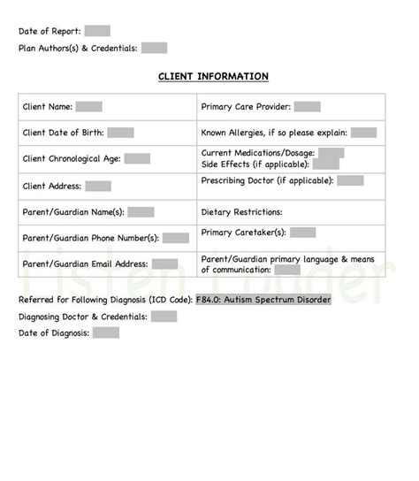 Functional Behavior Assessment Fba Editable Template Etsy