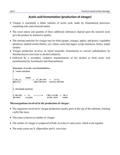 Acetic acid fermentation (production of vinegar)