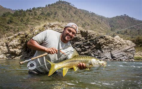 Indian Trout Fish