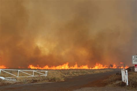 Pulehu Road now open after Maui brush fire scorches about 5,300 acres ...