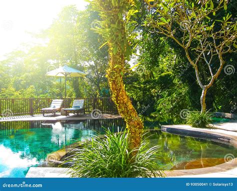 Bali, Indonesia - April 14, 2014: View of Swimming Pool at Nandini ...