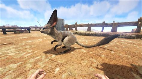 How To Draw Episode The Jerboa Ark Survival Evolved Amino