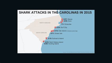 Shark Attacks Man In North Carolina Cnn