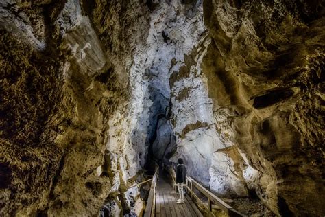 Kawiti Glowworm Caves | Daytime Tours