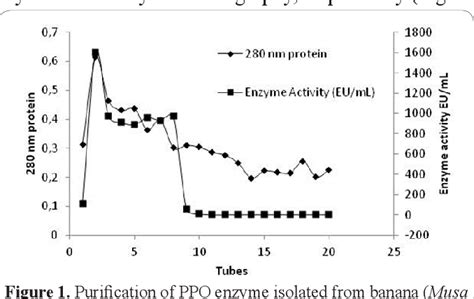 Figure 1 From Metal Ion Effects On Polyphenol Oxidase Covalently