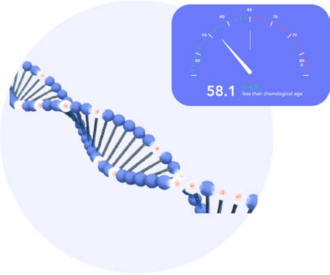 Epigenetic Age Test My Aging Tests