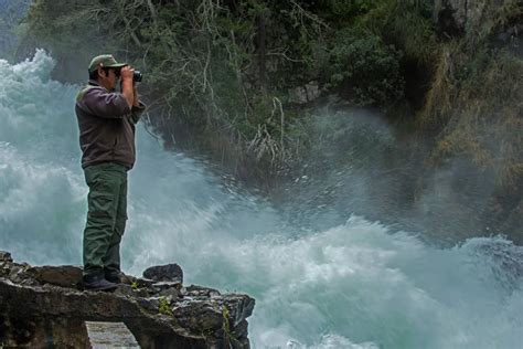 Publican Proyecto De Reglamento Para La Ley De Guardaparques