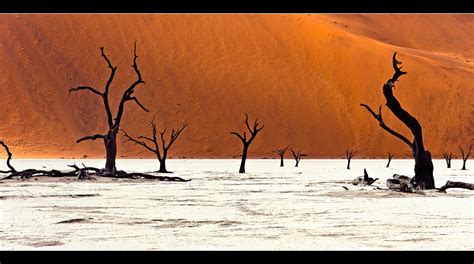 Death Vlei Foto And Bild Africa Southern Africa Namibia Bilder Auf Fotocommunity