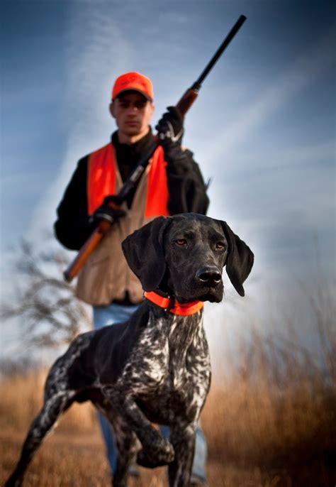 Ben Placzek Photography: Pheasant Hunting