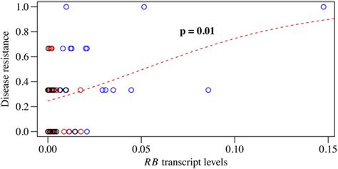 Tuber Late Blight Resistance Correlates With Rb Transcript Levels In Download Scientific