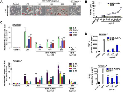 Immunostimulatory Activity Of Hht Aunps On Macrophages A