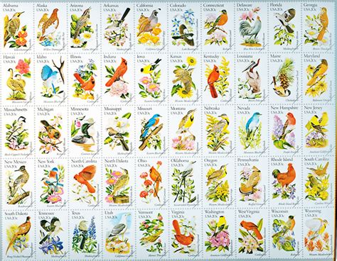 50 State Birds Flowers Sil Si Edu Libraries Npm Flickr