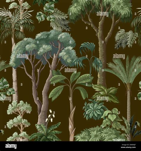 Patrón sin fisuras con árboles y plantas de la selva Vector Imagen