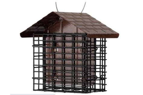 Best Bird Feeder For Woodpeckers A Comprehensive Guide