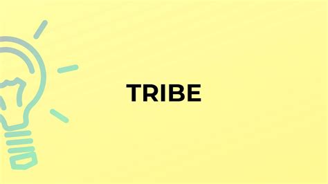 What Is The Meaning Of The Word Tribe Youtube