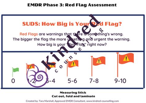 EMDR Phase 3: Assessment - Red Flags Assessment Bundle (5pgs) | Kindred ...