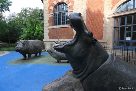 La Ménagerie Le Zoo Du Jardin Des Plantes Paris 1 Paris Autrement