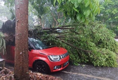 Mobil Dan Bangunan Rusak Tertimpa Pohon Tumbang Pemkot Bandung Berikan