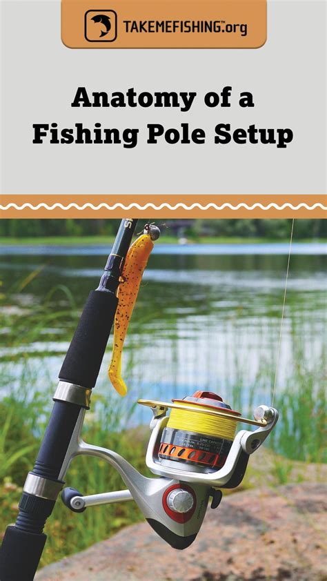 Fishing pole setup for beginners – Artofit