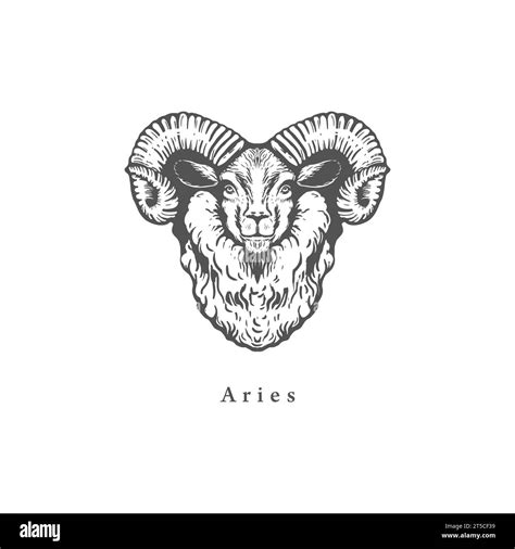 Aries Zodiac Symbol Hand Drawn Stock Vector Image And Art Alamy