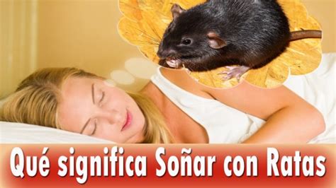 Que Significa So Ar Con Ratas Horoscopo