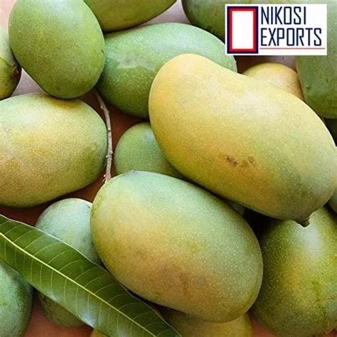 Yellow Common Fresh Totapuri Mangoes Carton Packaging Size 5 Kg At