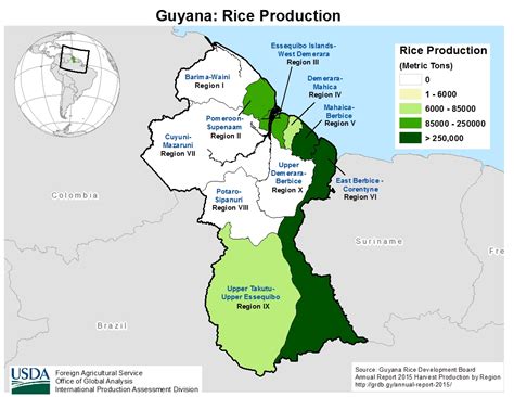 Guyana Rice Area Yield And Production